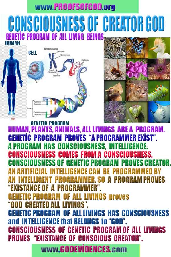 proofs of god, evidences of god, signs of god, god-proofs, proofs-god