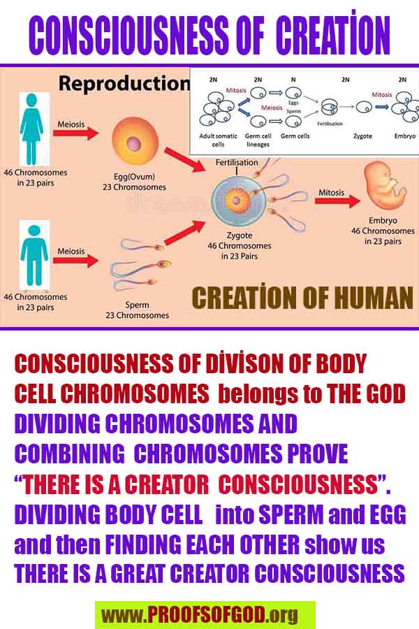 proofs of god, evidences of god, signs of god, god-proofs, proofs-god