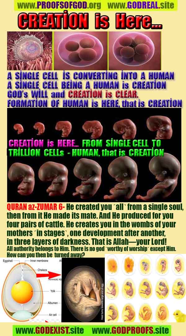 proofs of god, evidences of god, signs of god, god-proofs, proofs-god