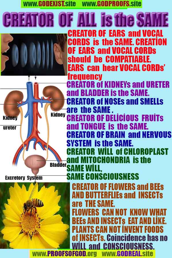 proofs of god, evidences of god, signs of god, god-proofs, proofs-god