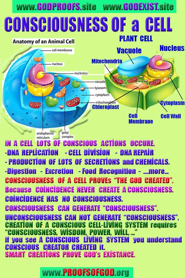 proofs of god, evidences of god, signs of god, god-proofs, proofs-god
