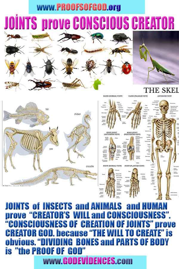 proofs of god, evidences of god, signs of god, god-proofs, proofs-god