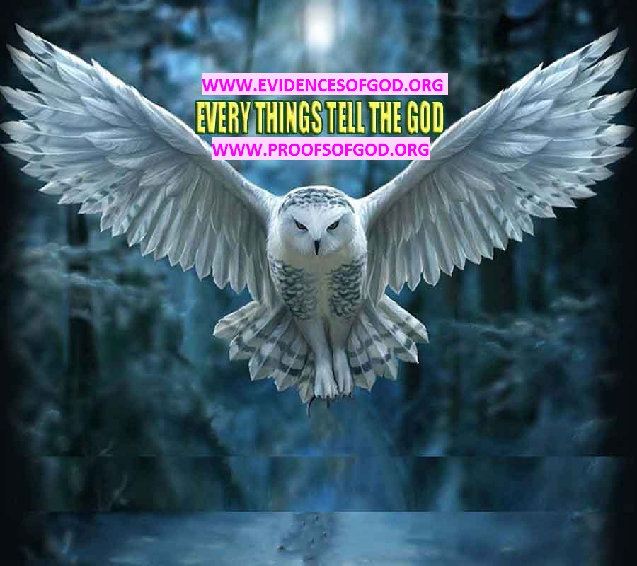 proofs of god, evidences of god, signs of god, god-proofs, proofs-god