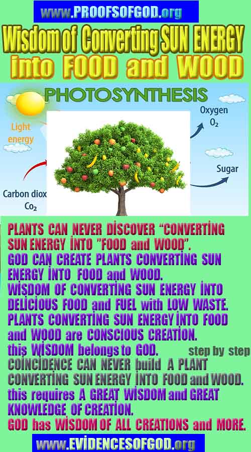 proofs of god, evidences of god, signs of god, god-proofs, proofs-god