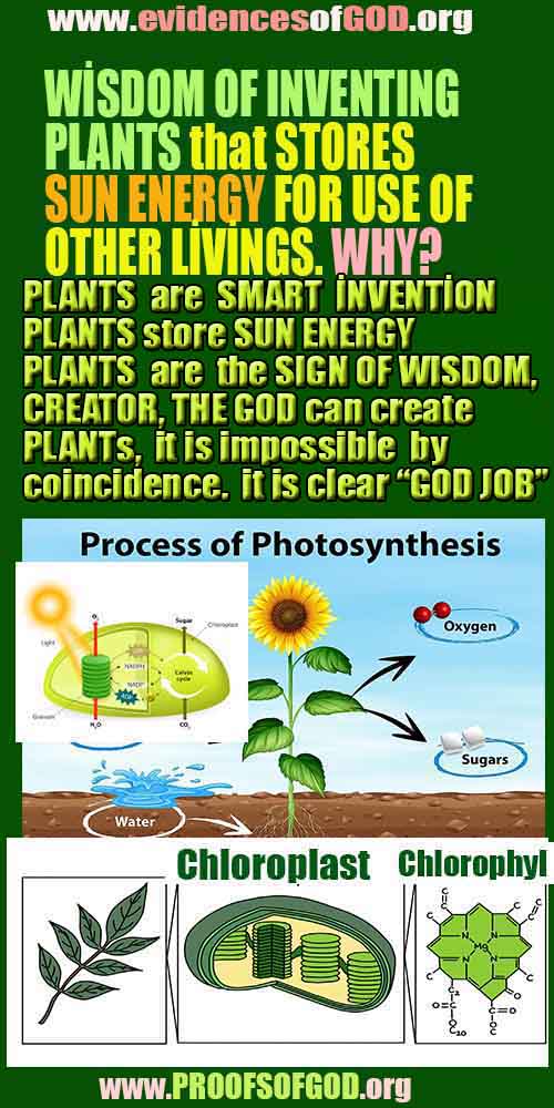 proofs of god, evidences of god, signs of god, god-proofs, proofs-god